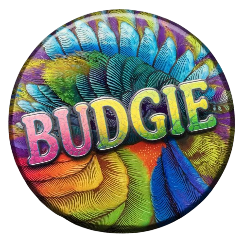 Budgie Bird